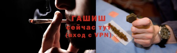 PSILOCYBIN Богданович
