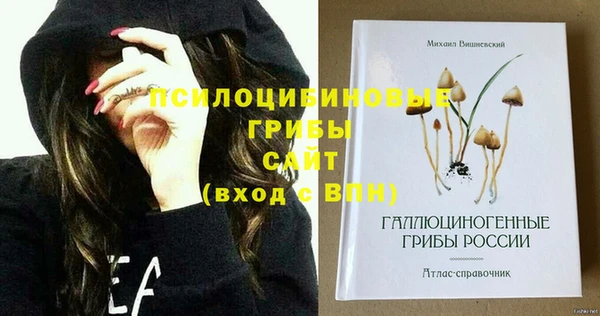 амф Бронницы